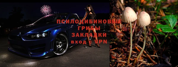 дурь Волоколамск