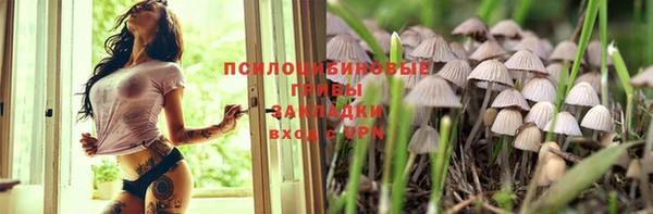 марки nbome Сосновка